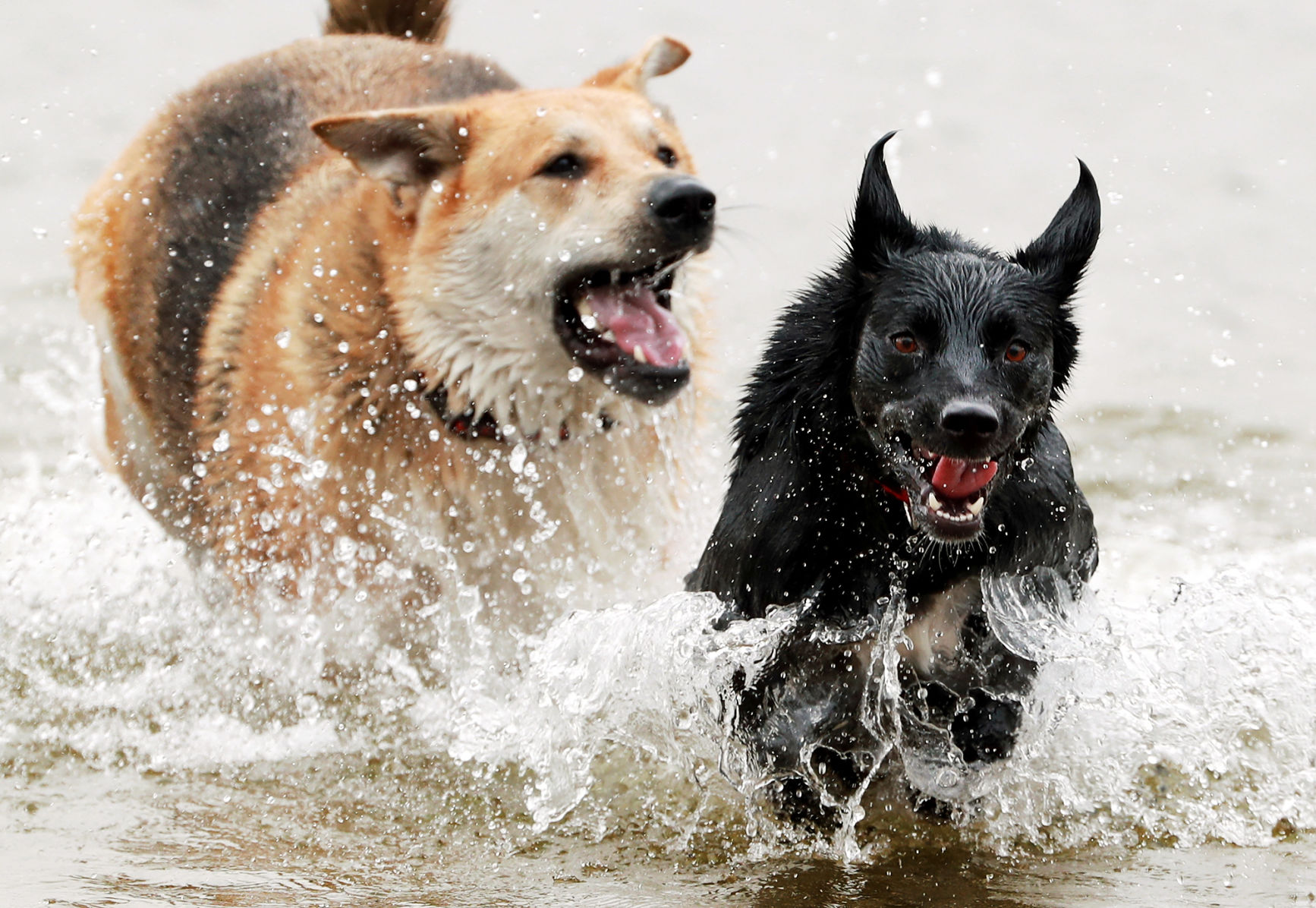 092519_DogIsland001_bjs.JPG